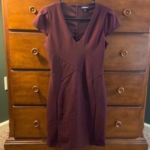 Express v-neck curve hugging dress